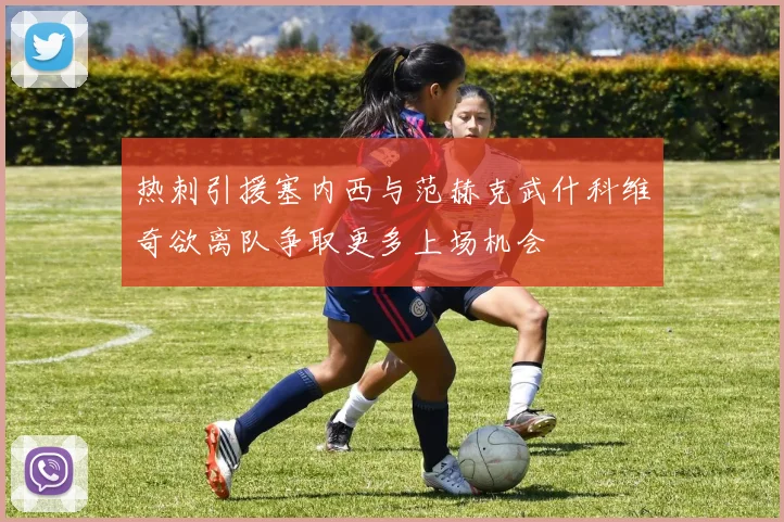 热刺引援塞内西与范赫克武什科维奇欲离队争取更多上场机会