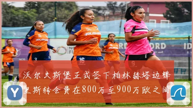 沃尔夫斯堡正式签下柏林赫塔边锋里斯转会费在800万至900万欧之间